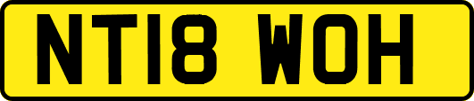 NT18WOH