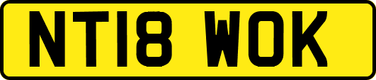 NT18WOK