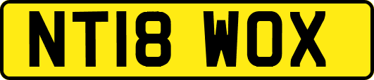 NT18WOX
