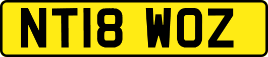 NT18WOZ