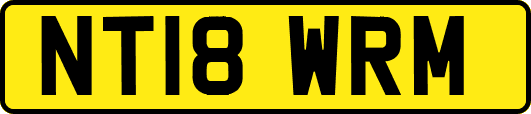 NT18WRM