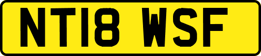 NT18WSF