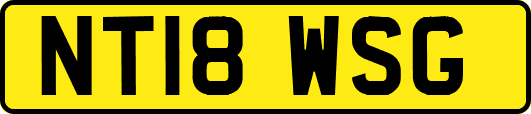 NT18WSG