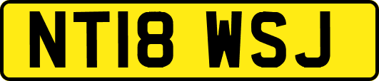 NT18WSJ