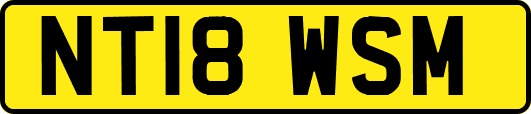 NT18WSM
