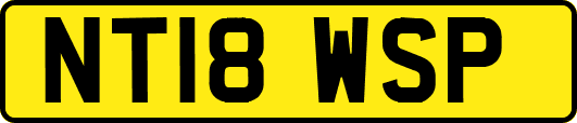 NT18WSP