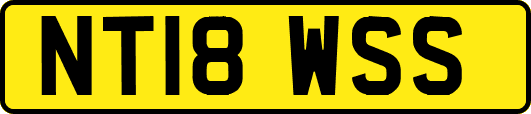 NT18WSS