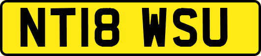 NT18WSU