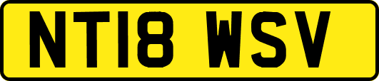 NT18WSV