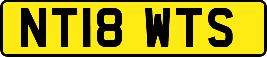 NT18WTS