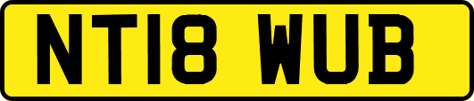 NT18WUB