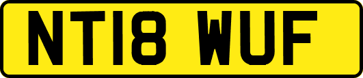 NT18WUF