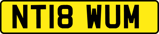 NT18WUM