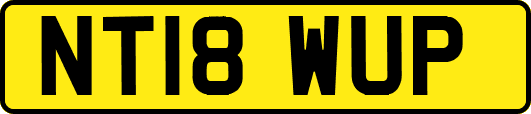 NT18WUP