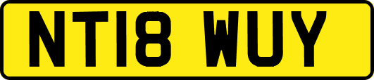 NT18WUY