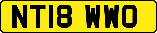 NT18WWO