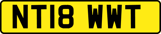 NT18WWT