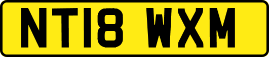 NT18WXM