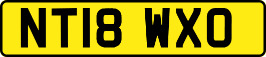 NT18WXO