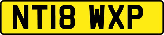 NT18WXP