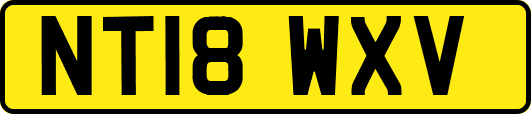 NT18WXV
