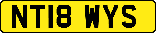 NT18WYS