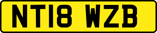 NT18WZB