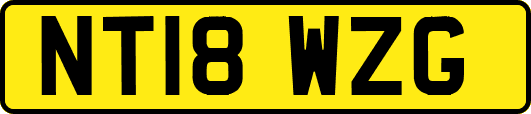 NT18WZG