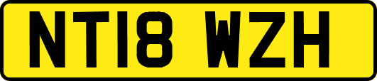 NT18WZH