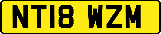 NT18WZM