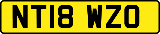 NT18WZO