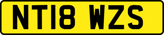 NT18WZS