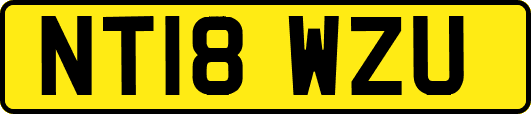 NT18WZU
