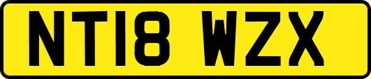 NT18WZX