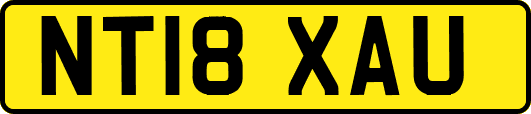 NT18XAU