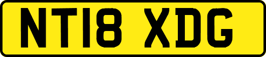 NT18XDG