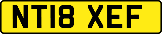 NT18XEF