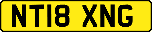 NT18XNG