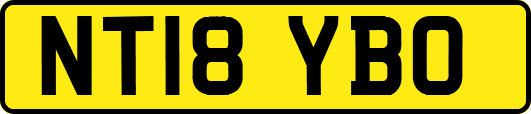 NT18YBO