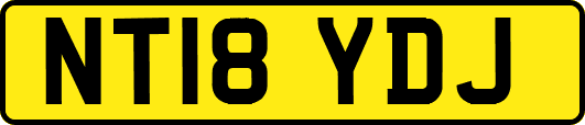 NT18YDJ