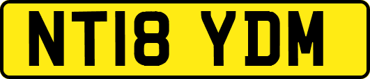 NT18YDM