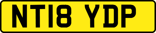NT18YDP
