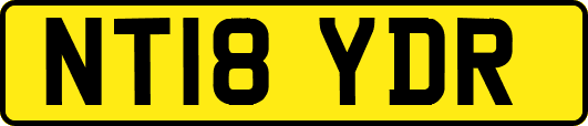 NT18YDR