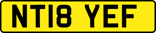 NT18YEF