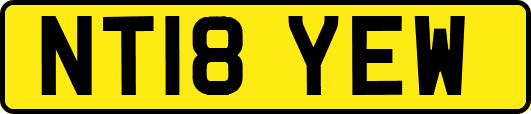 NT18YEW
