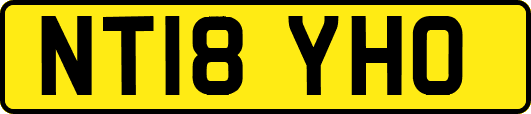 NT18YHO