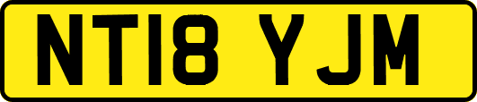NT18YJM