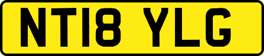 NT18YLG