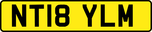 NT18YLM