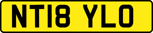 NT18YLO